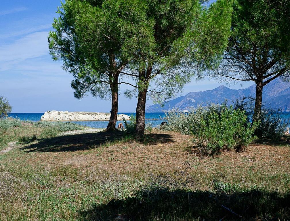 Residence Suarella Saint-Florent  Exterior photo